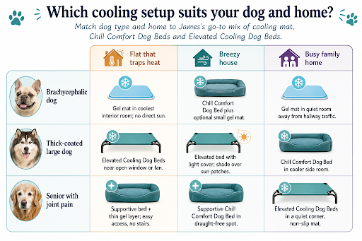 Which cooling setup suits your dog and home