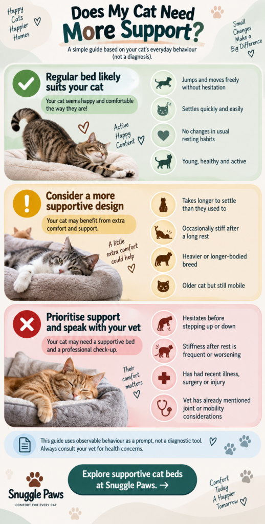 Does My Cat Need More Support
